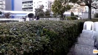 日本大片高清无码播放